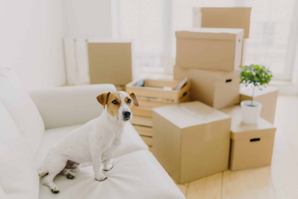 Was sind die besten Tipps für das Tragen von engen Röcken ohne Unbehagen?